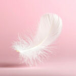 Deuxième formule d'accompagnement pour seniors