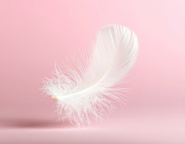 Deuxième formule d'accompagnement pour seniors